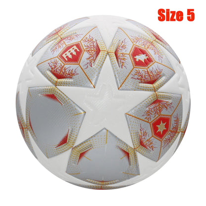 Professional Soccer Ball